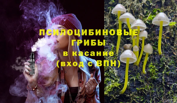 дмт Бугульма