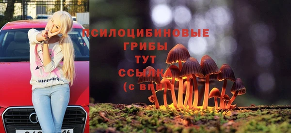 ешки Богородицк